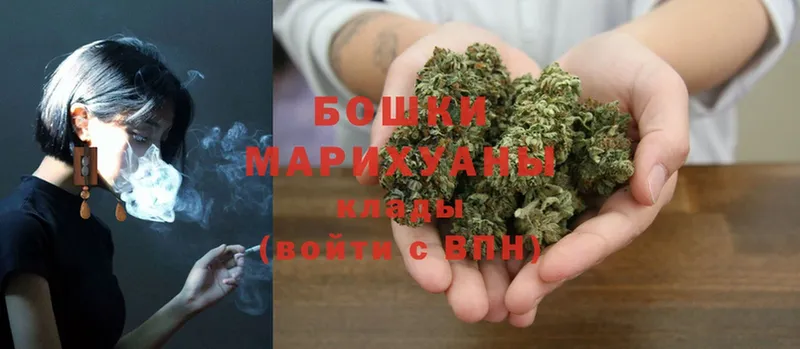 Бошки марихуана THC 21%  mega ТОР  Гатчина 